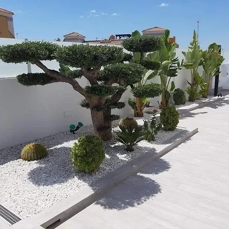 Modern 3 Bedroom With Private Pool Mo35 Villa